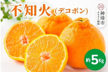 yꌧ_szy2026N1{蔭Jnzsm(fR|) 5kgy݂ k  |J t[c fU[gz(H116137)