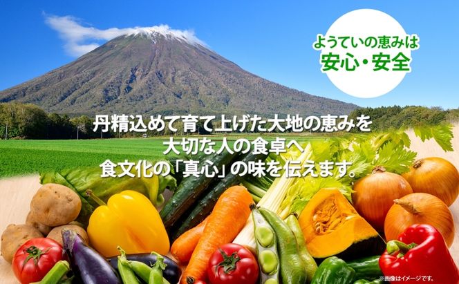 北海道 赤肉メロン 約1.6kg 2玉 メロン 赤肉 果物 フルーツ 甘い 完熟 スイーツ デザート 産直 国産 贈答品 お祝い ギフト羊蹄山 JAようてい