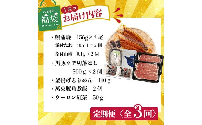 【定期便全３回】志布志市福袋！鰻とおかずいろいろセット(霧島湧水鰻2尾＆釜揚げちりめん＆黒豚ウデ切り落とし＆ウーロン紅茶＆角煮飯) t0084-009