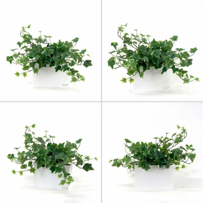 アートフラワー エミリオ・ロバ  アイビーL TTTTA-02120