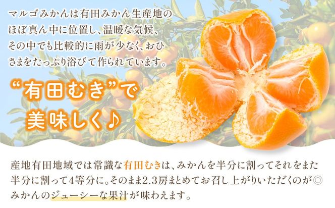 有田みかん 5kg 2Sサイズ 光センサー使用 高糖度 CM01