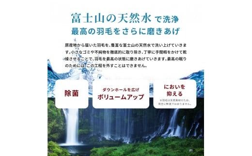 【Sybilla】掛けふとんカバー＆枕カバー　2点セット ※選べる8柄 布団カバー 【創業100年】 シングル セット カバーセット 綿100%