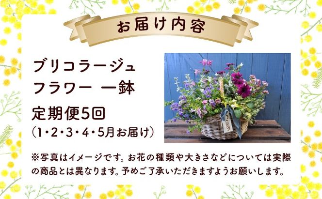 【全5回定期便】季節の寄せ植え ブリコラージュフラワー