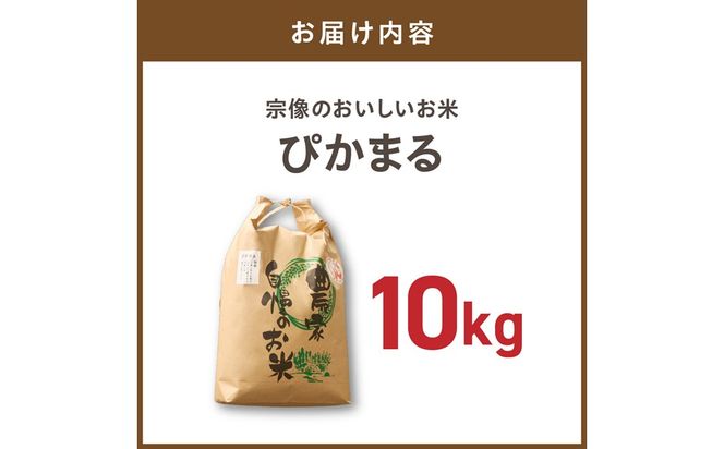 令和7年産 むなかた産 米 ぴかまる 10kg【みきふぁーむ】_HA1544