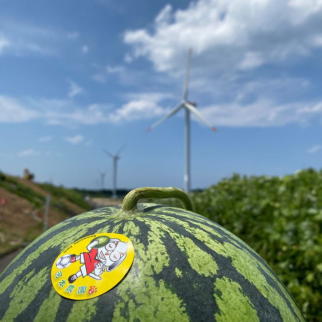 y挧khz1118.{̖o2xy߂AʂȒXCJZbgi̕ԗíAhZł͂܂j 313726_CK004