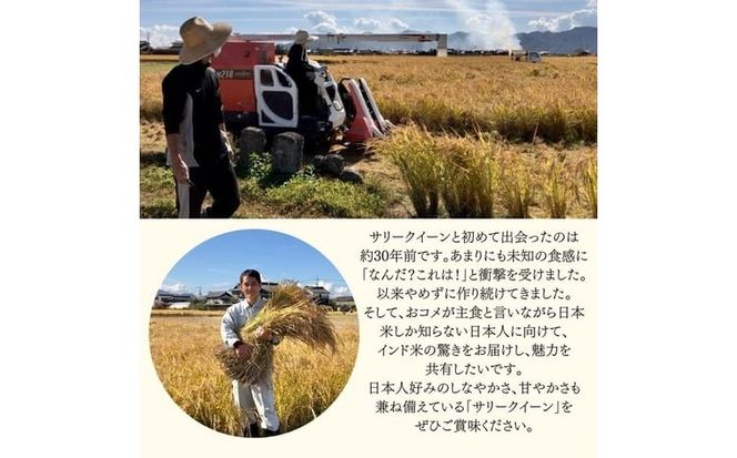 令和7年産 サリークイーン500g×4袋 香り米 米 こめ　 [№5735-3479]
