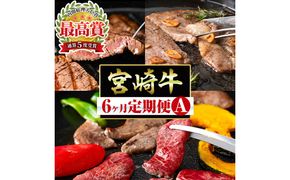 【定期便・全6回】宮崎牛定期便＜Aセット・焼肉＞ お楽しみ便 牛肉 国産 定期 ヒレ肉 モモ ウデ ロース バラ 宮崎県産 黒毛和牛 焼肉 ステーキ 【ミヤチク】【R-100】