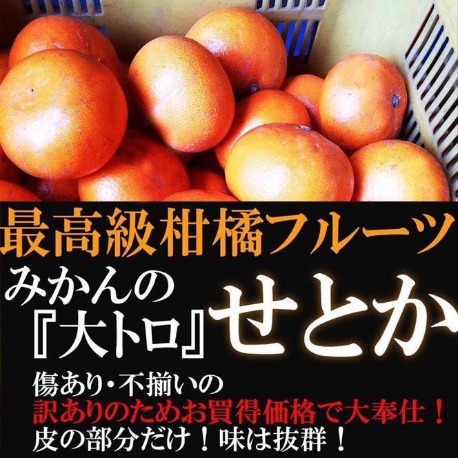 みかん の大トロ せとか 約2kg S～LLサイズ混合 訳あり ブランド 和歌山 有田 みかん 農家直送 オレンジ フルーツ 果物 CE057