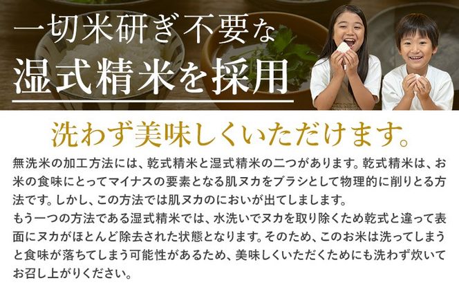 無洗米 訳あり 選べる 5kg 10kg 12kg 15kg 18kg 20kg 熊本県産 阿蘇びより《11月-12月頃出荷予定(土日祝除く)》 お米 コメ こめ 国産 熊本県 南阿蘇村 阿蘇 びより---mna_aby_24_m_5kg_9500_af11---