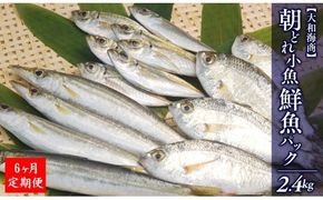【6ヶ月定期便】大和海商の朝どれ鮮魚小魚パック 2.4kg N072-YE093