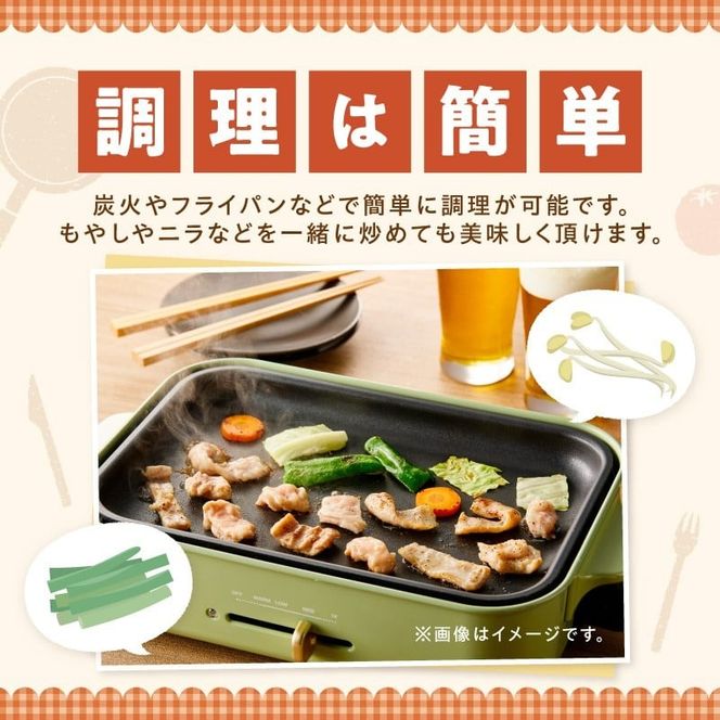 《7営業日以内に発送》あきら特製塩ガツ 160g×3パック ( 焼肉 ホルモン 肉 にく 塩 )【205-0004】