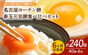 【6ヶ月定期便】【山ちゃん家の生みたて葉酸たまご】名古屋コーチン卵・赤玉元気卵 食べ比べセット（各20個 合計40個入り）［132Y12-T］6ヶ月定期便 山ちゃん家 生みたて 葉酸たまご 名古屋コーチン卵 赤玉元気卵 食べ比べ セット 各 20個 合計 40個 入り 地鶏 卵 朝食 卵焼き 目玉焼き オムライス ゆでたまご 山田養鶏 お取り寄せ 愛知県 小牧市 送料無料