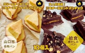 D425　三角チーズサンドパンプレミアム5個・チョコ5個入