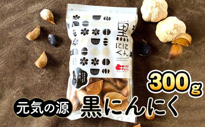 y򕌌RszČ@ɂɂ@300g [No.499]