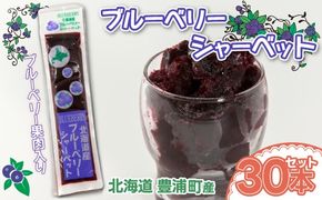 北海道 豊浦町 ブルーベリーシャーベット 30本 【 ふるさと納税 人気 おすすめ ランキング 果物 メロン めろん 果物 ブルーベリー 国産ブルーベリー ブルーベリーシャーベット 大容量 おいしい 美味しい 甘い 北海道 豊浦町 送料無料 】TYUN013
