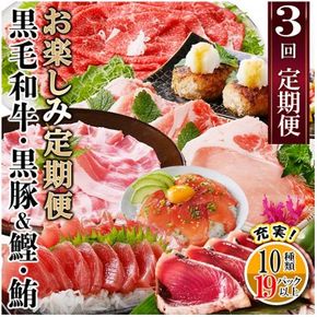 定期便3回配送　お楽しみ定期便(黒毛和牛・黒豚・かつお・まぐろ) LL-6014 【1485110】