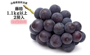 【2026年発送★先行予約】『数量限定』一大産地笛吹市御坂町の藤稔1.1ｋｇ2房入　167-005-26y