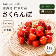 2027年発送 北海道 仁木町産さくらんぼ 紅秀峰 1kg（500g×2パック） 旬の果物 デザート サクランボ チェリー フルーツ 果物 果物類  仁木町 仁木 [JA新おたる] 
