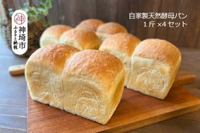 自家製天然酵母の食パン 4斤【パンと器のコネル】(H094123)