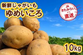 【予約：2026年10月上旬から順次発送】JAきたみらいから直送する新鮮じゃがいも「ゆめいころ」10kg (JAきたみらい JA 直送 じゃがいも いも 芋 ジャガイモ)【104-0019】