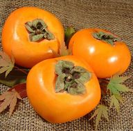 和歌山の種なし柿 【秀品 サイズ・品種おまかせ】約7.5kg 和歌山県産 フルーツ かき 紀伊国屋文左衛門本舗