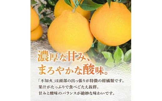 宮崎県川南町産「不知火（しらぬい）」６～１０玉 【 先行予約 季節限定 果物 くだもの フルーツ しらぬい 不知火 みかん 】 [C06705]