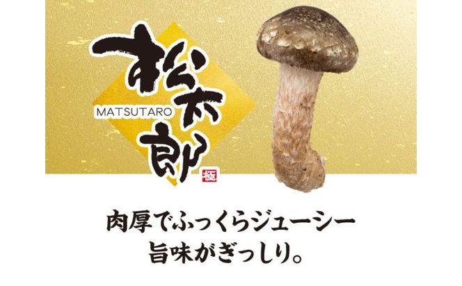 松太郎ギフト（生詰め合わせ）【夏季冷蔵便対応】-[G129-2]