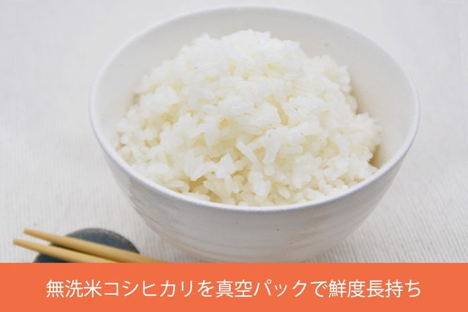 米 コシヒカリ 真空パック 無洗米 300g × 2袋 [お米食堂 富山県 舟橋村 57050247] お米 米 こめ コメ 無洗米 白米 精米 ごはん 真空包装 真空パック 備蓄 長期保存 富山県産
