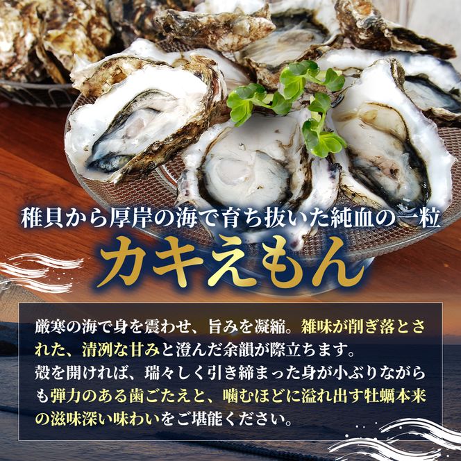 北海道 厚岸産 ブランド 殻付牡蠣 食べ比べ 弁天牡蠣 A3サイズ カキえもんLL サイズ 各12個 生食用 [ 牡蠣 カキ かき 生食 生食用 生牡蠣 食べ比べ 魚貝類 ブランド牡蠣 ]