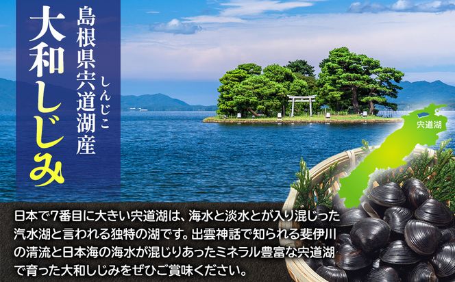 宍道湖産冷凍しじみМサイズ（殻幅12mm～14mm）220ｇ×10袋 322032_BU002