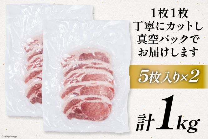 豚肉 小分け 宮崎ブランドポーク ロース トンテキ とんかつ カット 1kg [ウィズ・クリエイティブ 宮崎県 日向市 452060771] 冷凍 豚 個包装 トンカツ 真空 宮崎