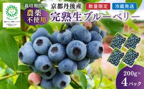 【先行予約／数量限定40】完熟ブルーベリー 生果 200g×4パック（栽培期間中農薬・化学肥料・除草剤不使用）（2026年7月上旬～発送） ブルーベリー ルーツ 果物 アントシアニン  期間限定 生産者応援 農家応援 送料無料　KU00069