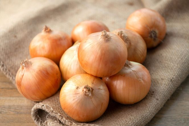 【数量限定訳あり品】玉ねぎＳサイズ・10kg（2025年12月上旬から順次発送）  BHRG147