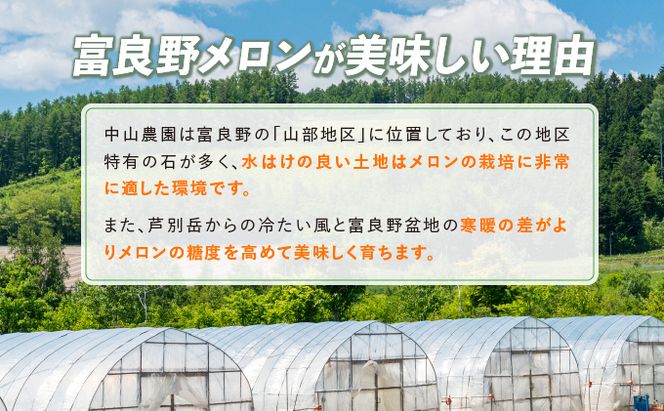 テレビで紹介されました！【2026年秋発送】北海道 富良野産 赤肉 秋メロン 2玉 計3.2kg以上 大玉サイズ メロン