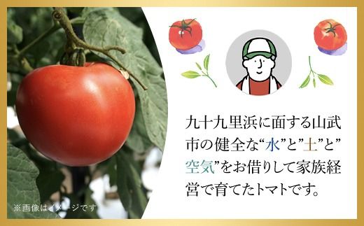 【先行予約/10月中旬発送開始】松村さんちのトマト1箱（20～24個・約4kg）SMAE002 / トマト とまと 野菜 夏野菜 先行予約 千葉県 山武市