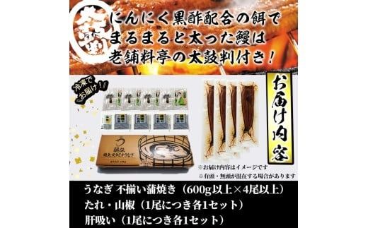 【訳あり】鹿児島県産！秘伝のスタミナうなぎ蒲焼き＜計600g以上/4尾以上＞肝吸いセット！ にんにく黒酢パワーで丸々太った美味しい鰻！c0-138