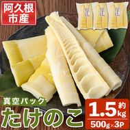 真空パックたけのこ(約1.5kg・500g×3P) 国産 野菜 たけのこ タケノコ 淡竹 ハチク はちく 唐竹 カラタケ からたけ 筍 旬 煮物 天ぷら つくだ煮【あくね旬の店いきいき館】akn015-22
