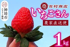 【令和7年1月中旬より順次発送】いちごさん 4パック 約1kg 【いちご イチゴ 苺 佐賀県 甘い フルーツ 果物 国産 お祝い 贈り物】(H098107)