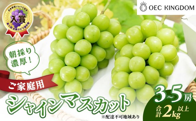 ぶどう 2026年 先行予約 ［ご家庭用］ シャイン マスカット3～5房（合計2kg以上） ブドウ 葡萄  岡山県産 国産 フルーツ 果物 OEC KINGDOM ぶどう家 果物類 