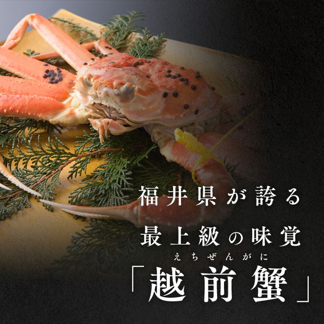 期間限定 茹で 越前ガニ 約1kg 1杯  茹でガニ 越前カニ 越前蟹 ズワイガニ ずわい蟹 カニ かに 蟹 ボイルカニ ボイル蟹 ポーション 魚介 魚介類 海鮮 限定 福井 福井県 若狭町