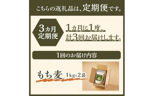 【豊富な食物繊維】もち麦3ヶ月連続お届け