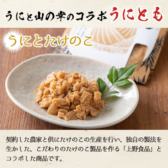 ＜鹿児島県産うに使用＞ご飯のお供「うにとも」うにとたけのこ(50g×4袋)国産 ウニ 雲丹 タケノコ 筍 おかず 惣菜 常温【尾塚水産】akn004-08