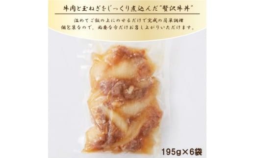 南知多町の玉ねぎたっぷり知多牛　牛丼