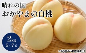 桃 【2026年 先行予約】 晴れの国 おかやま の 白桃 2kg(5～7玉) もも モモ 岡山県産 国産 フルーツ 果物 ギフト