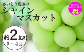 【2026年発送分】さいとうさん家のシャインマスカット ３～４房 （約２kg） 8月下旬以降発送 シャイン マスカット 葡萄 ブドウ ぶどう くだもの フルーツ 産地直送 山梨 やまなし 先行予約 富士川町