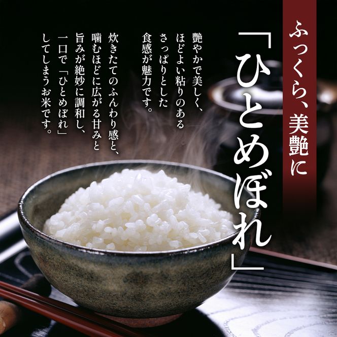 令和8年産 新米 ひとめぼれ 3kg 3ヵ月 定期便 先行予約 米 お米 白米 精米 こめ コメ 令和8年 宮城県産