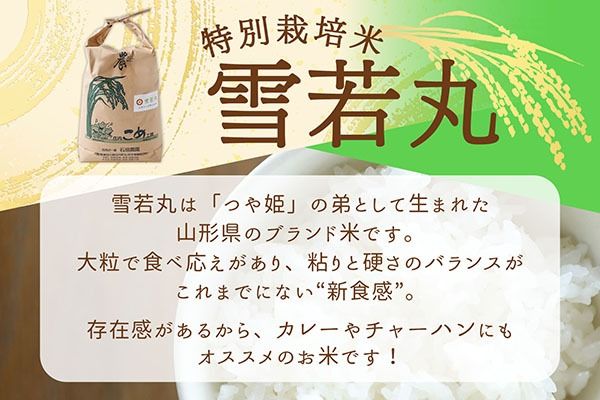 【新米受付】令和8年産 特別栽培米 雪若丸 5kg 石垣農園 5kg×1袋 2026年産 ブランド米 米 国産 単一原料米 山形 庄内平野 コシヒカリの原点、亀の尾発祥の地 庄内【R8.10月以降発送開始/入金期限：2026年9月15日】