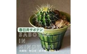 多治見市×春日井市コラボ 【美濃焼】 陶芸家「鈴木徹」 植木鉢 L × 【日本有数のサボテン産地】 春日井市の名店 後藤サボテン