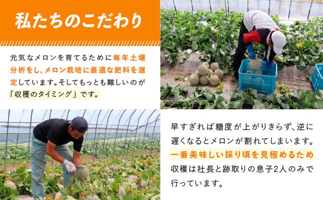 【2026年7～9月 全2回】計2回 ふらの 夏× 秋メロン 定期便 ≪計2玉≫ 北海道 富良野市 (中山農園) メロン フルーツ 果物 