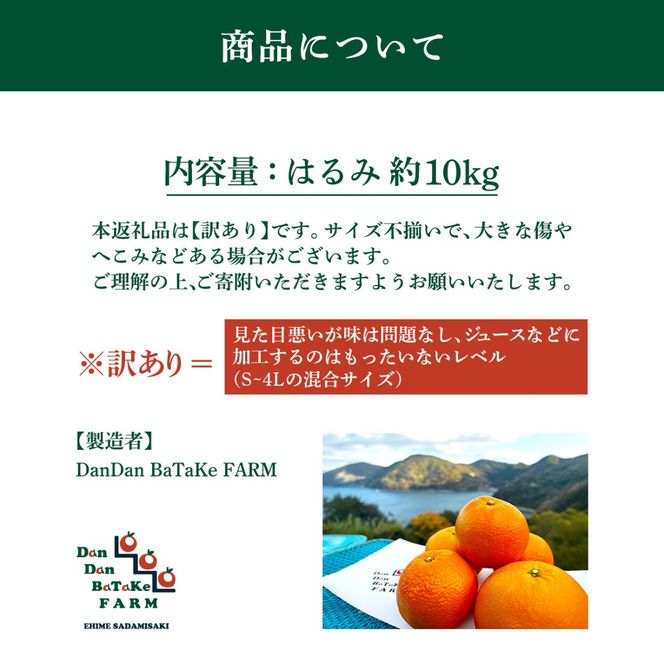 【先行予約】【訳あり】はるみ 約10kg | 柑橘 みかん 果物 フルーツ 愛媛県産 農家直送 　※離島への配送不可　※2027年1月下旬から順次発送予定 IKTAU005